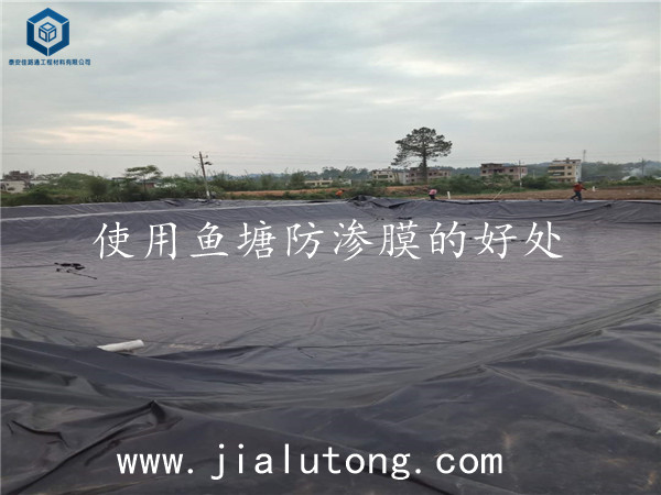 魚塘防滲膜廠家
